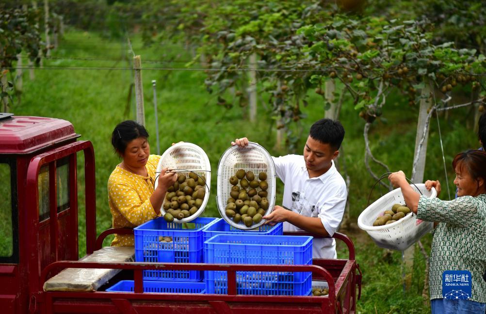 斗牛游戏金币